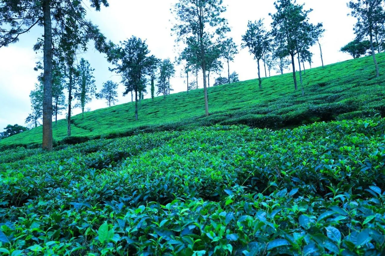 Green View Holiday Home Vythiri 0*,  India