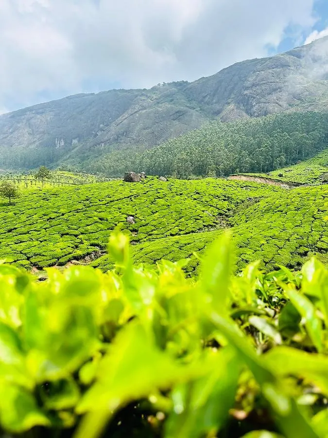 Green View Holiday Home Vythiri
